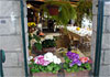 Agriturismo Fattoria Terranova, 3 estrellas