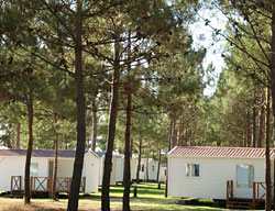 Aparthotel Arias