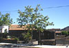 Casa Rural Aborigen Bimbache, 1 estrella