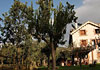 Casa Rural La Galamperna, 