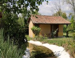 Complejo Rural El Mirlo Blanco