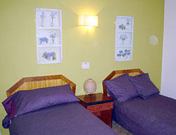 Hostal Planells