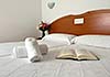 Hotel Argibay, 2 estrellas