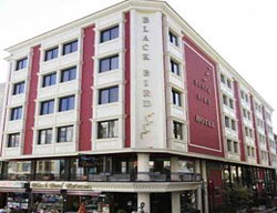 Hotel Blackbird