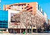 Hotel Boston, 4 estrellas