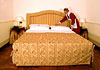 Hotel Domus Inn, 3 estrellas sup
