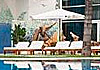 Hotel Gandia Palace