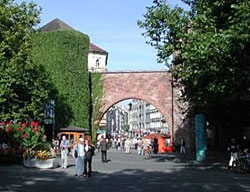 Hotel Herzog-wilhelm - Der Tannenbaum