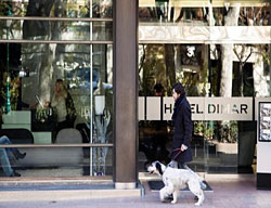 Hotel Husa Dimar
