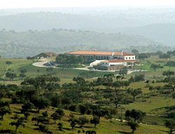 Hotel La Manga Club Principe Felipe
