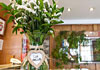 Hotel Las Anclas, 2 estrellas