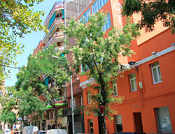Hotel Medium Abalon