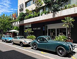 Hotel Melia Olid