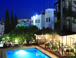 Hotel Paloma