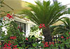 Hotel Regina Cristina, 4 estrellas