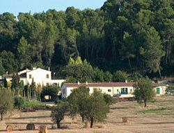 Hotel Sa Rota Den Palerm