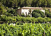 Hotel Son Brull & Spa, 5 estrellas