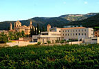 Hotel Dunas Paradise