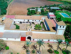 Hotel Hacienda Los Jinetes