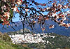 Hotel Rural La Fructuosa