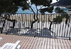 Residencial Delta