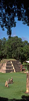 hoteles en Honduras hoteles en Honduras